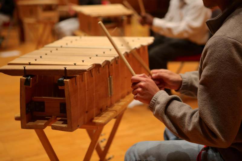 a person playing a xylophone