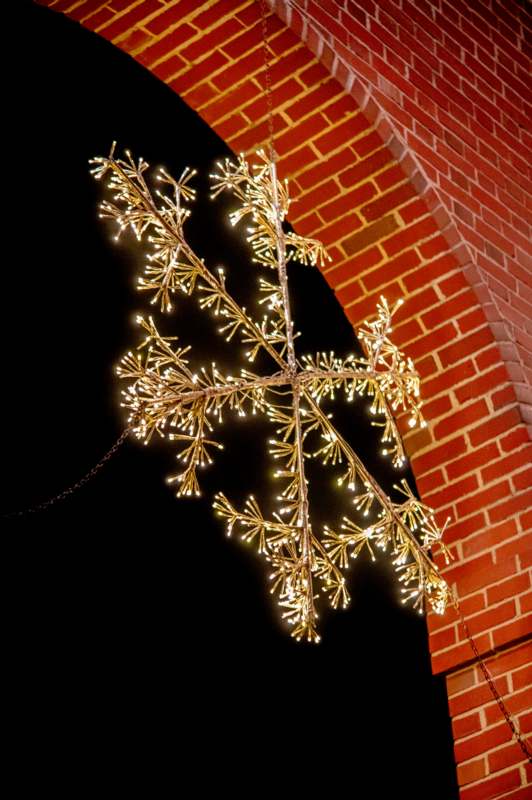 a christmas tree with lights