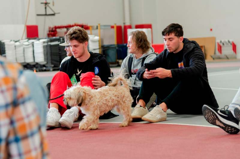 a group of people sitting on the floor with a dog