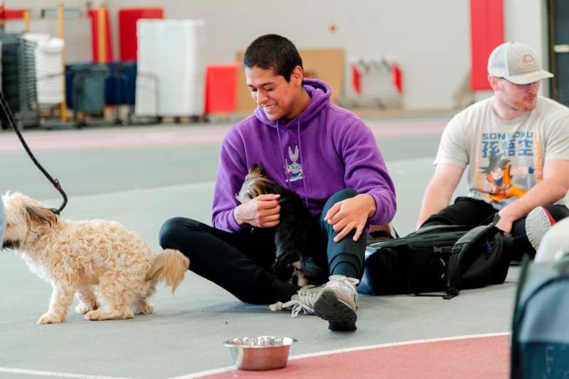 a man sitting on the floor with two dogs