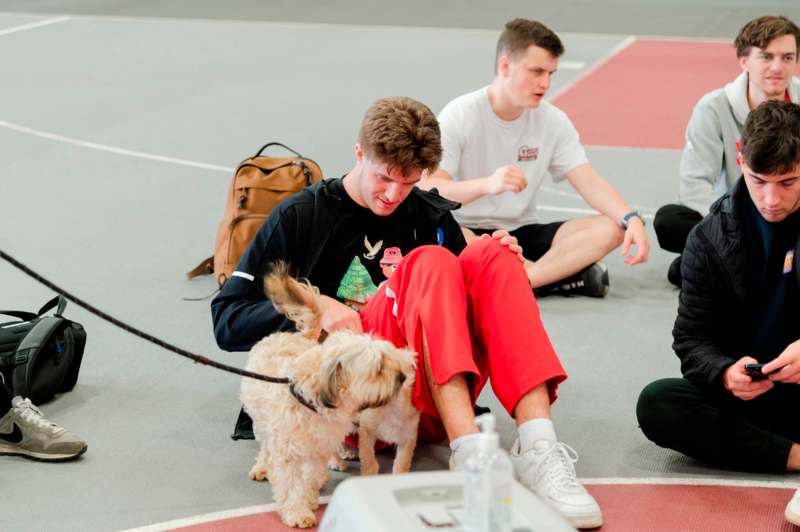 a group of people sitting on a basketball court with a dog