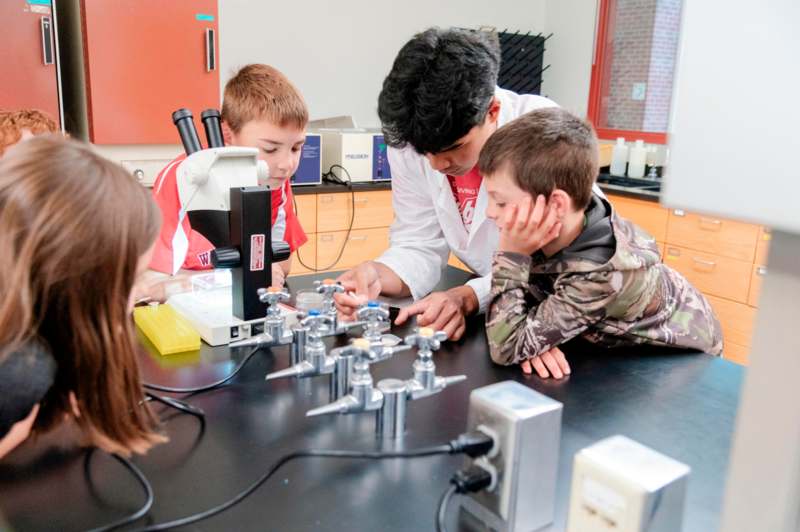 a group of kids looking at a microscope