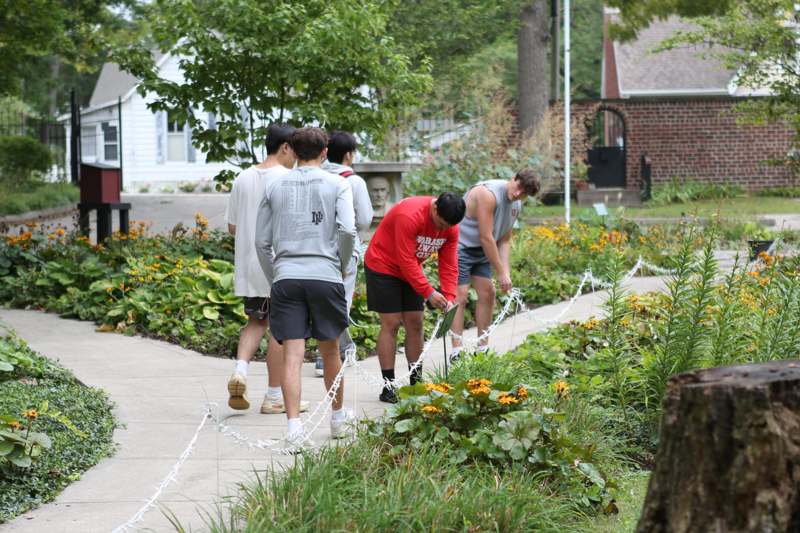 a group of people walking on a path