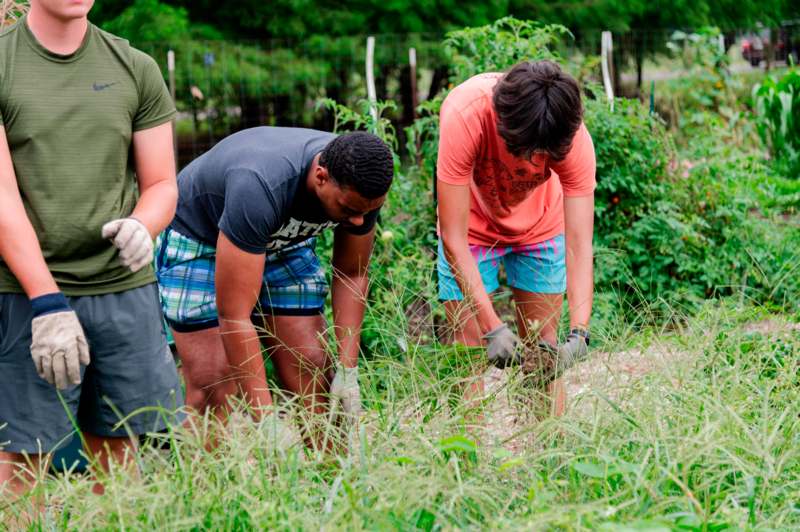 a group of people working in a garden