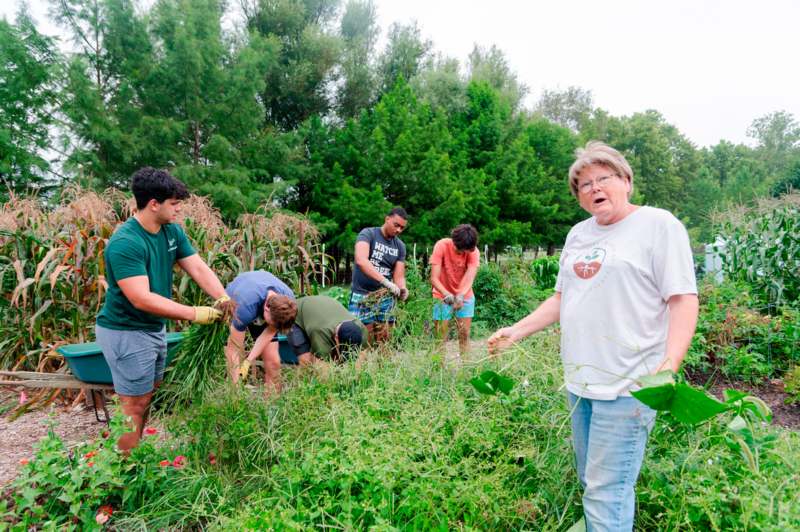 a group of people working in a field