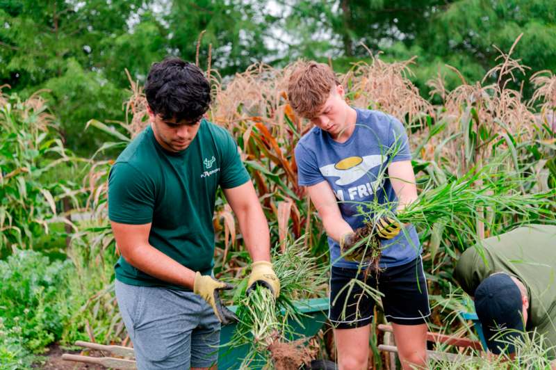 two men working in a garden