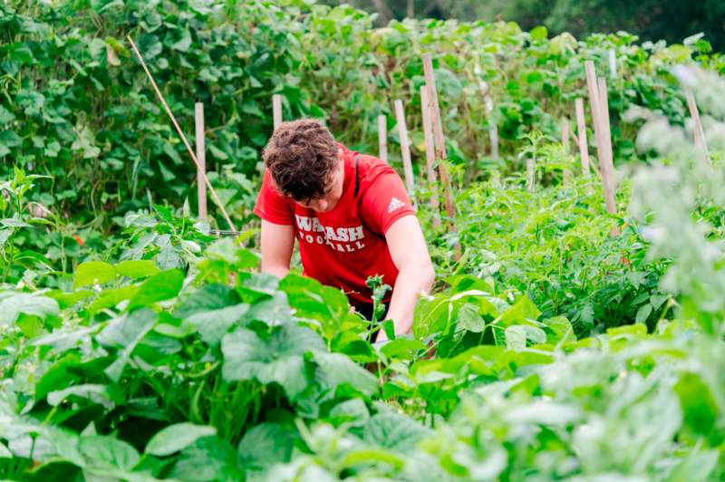 a man in a garden