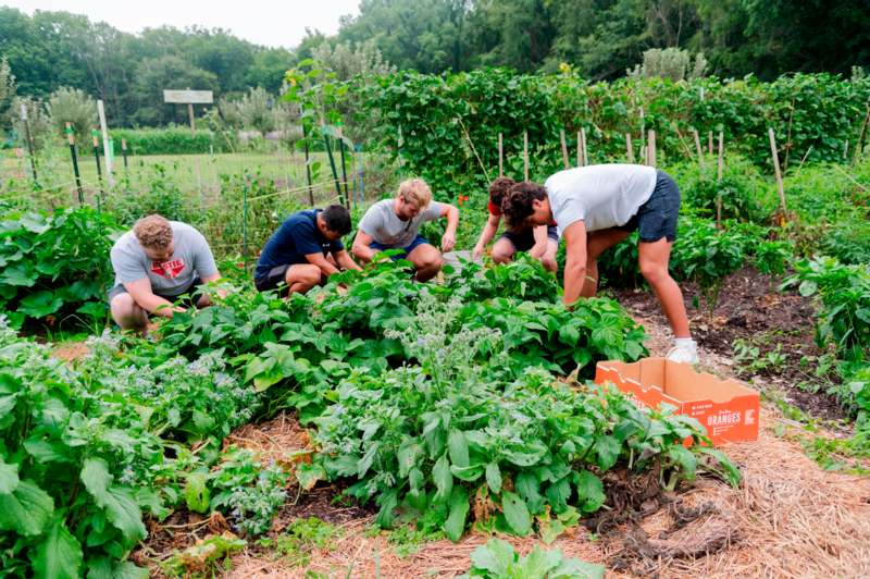 a group of people working in a garden