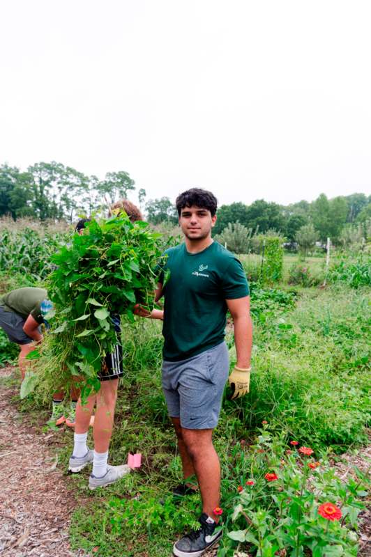 a man holding a bunch of plants