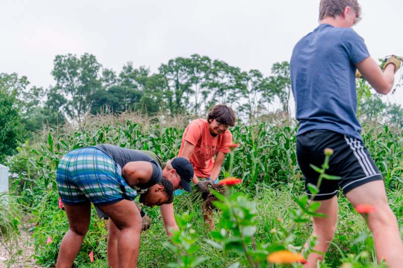 a group of people in a field