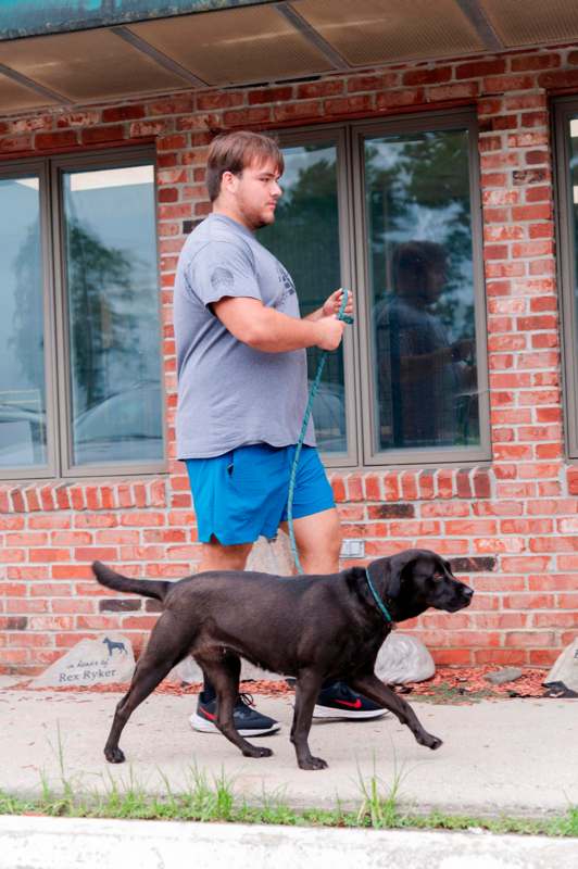 a man walking a dog