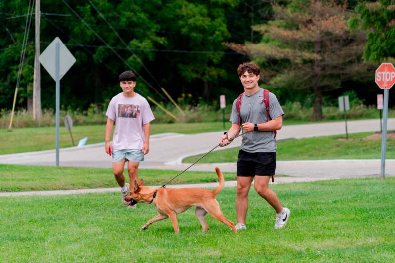 two men walking a dog on a leash in a park