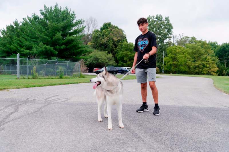 a man walking a dog on a leash