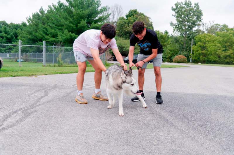 two men petting a dog