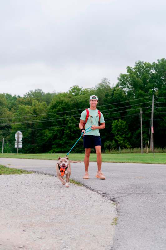 a man walking a dog on a leash