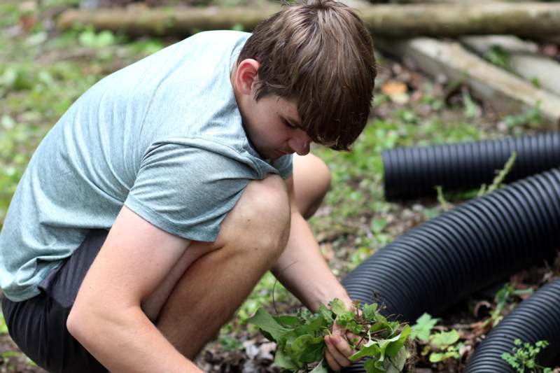 a man kneeling down holding a plant