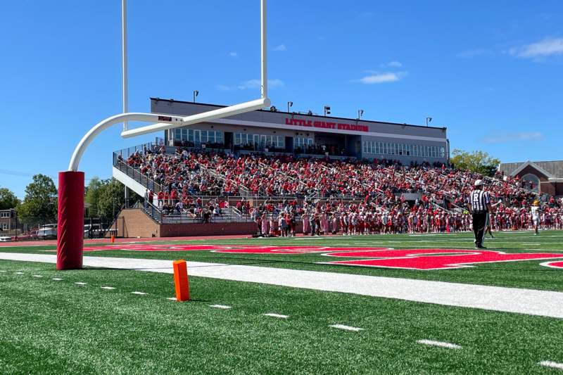 a crowd of people in a stadium