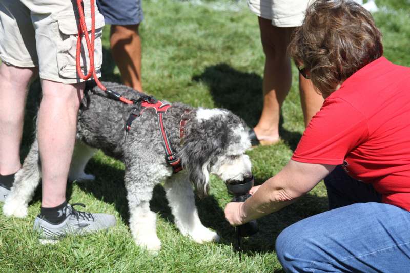 a person holding a cup to a dog