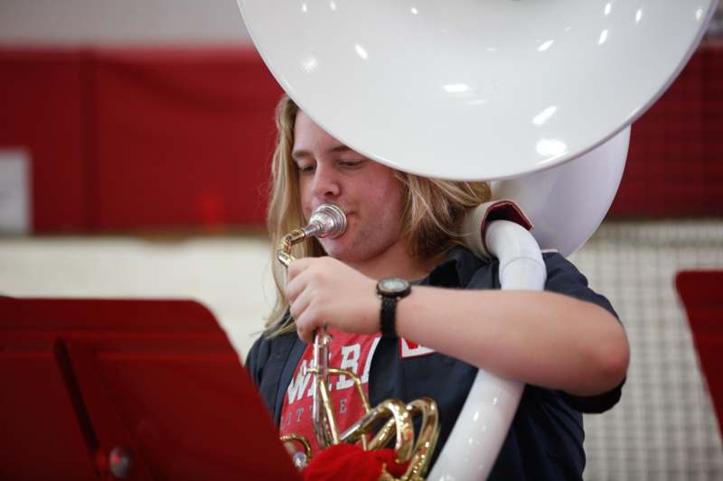 a person playing a musical instrument