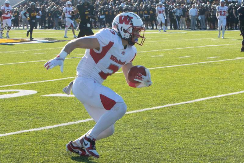 a football player running with a football in his hand