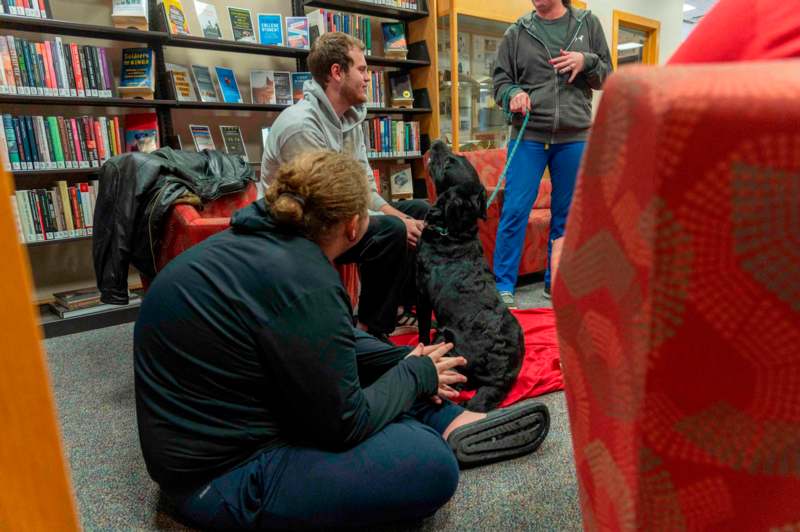 a group of people sitting on the floor with a dog