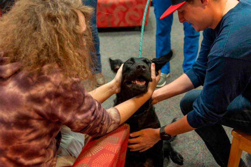 a man petting a dog