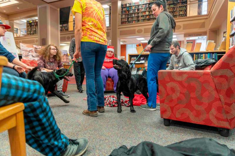 a group of people in a library with dogs