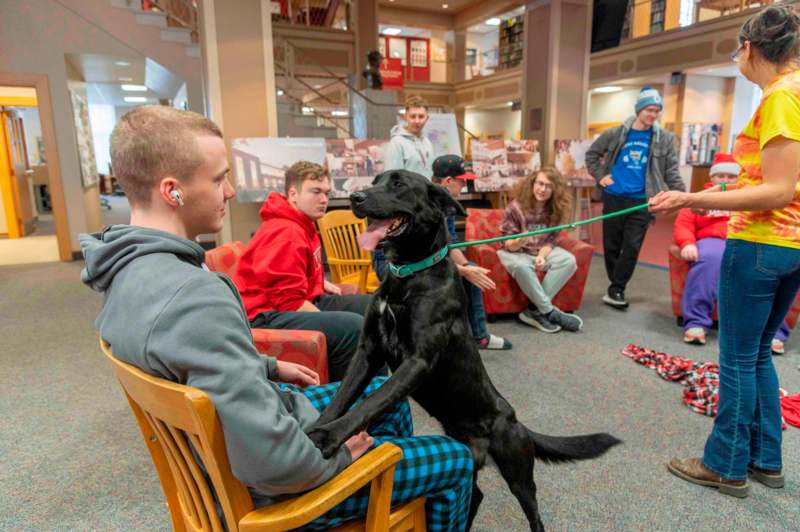 a dog on a leash in a room with people