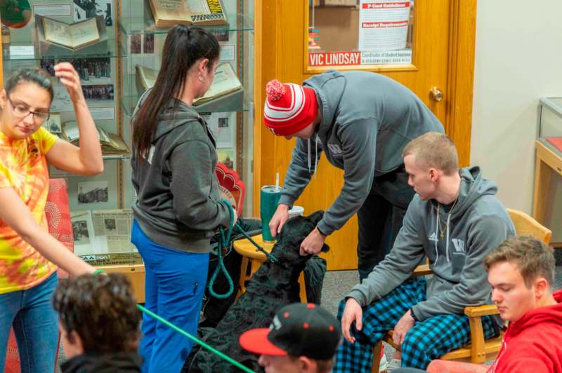 a group of people with a dog