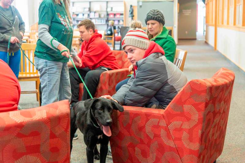 a group of people sitting in chairs with a dog