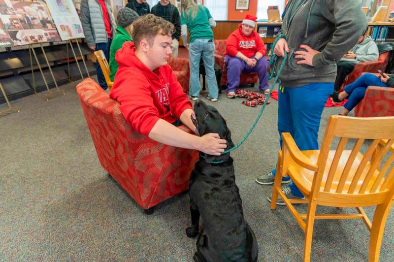 a man holding a dog on a leash