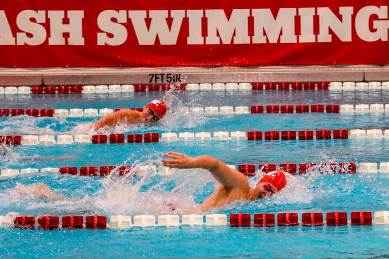 a group of people swimming in a pool