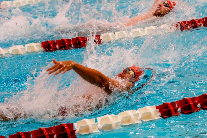 a group of people swimming in a pool