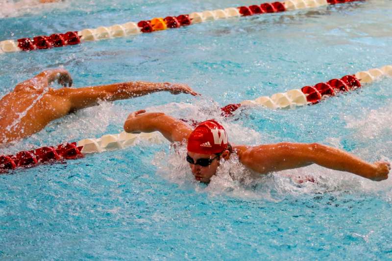 a group of people swimming in a pool