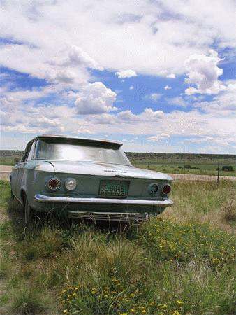 a car parked in a field