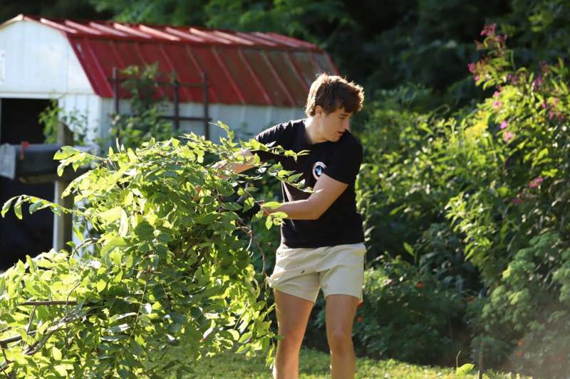 a man in a black shirt cutting a bush