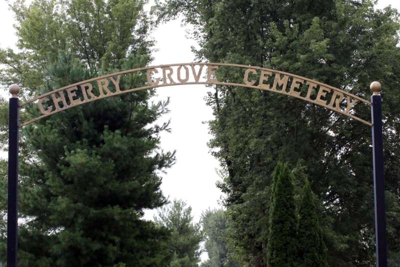 a sign over a tree