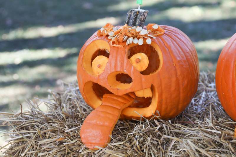 a pumpkin with a face carved into it