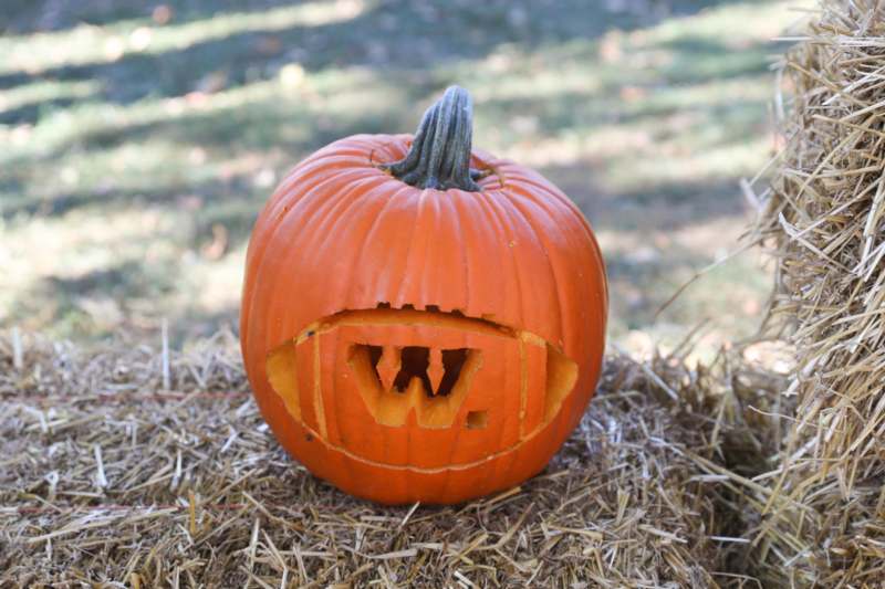 a pumpkin carved into a football shape