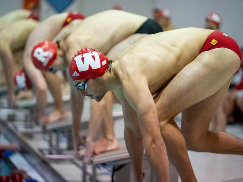 a group of swimmers ready to start a race