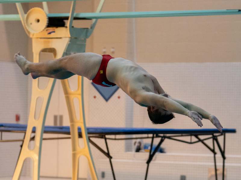 a man diving into a pool