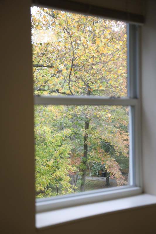 a window with trees outside