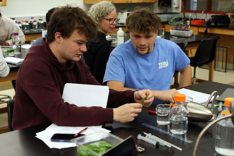 a group of people sitting at a table