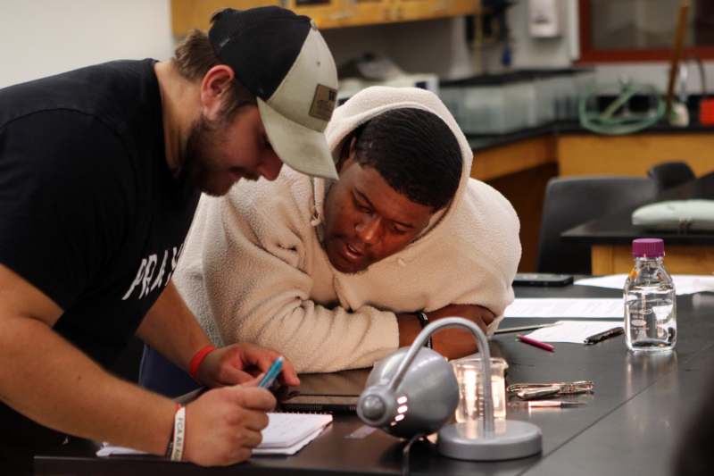 a man looking at a tablet