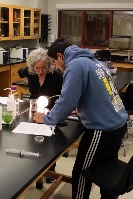 a man and woman looking at a light bulb