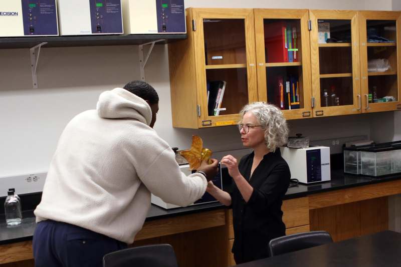a man holding a leaf to a woman