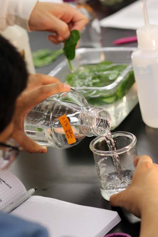 a person pouring liquid into a beaker
