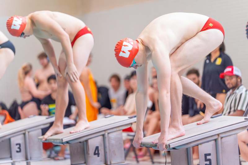 a group of people in swimsuits on diving boards