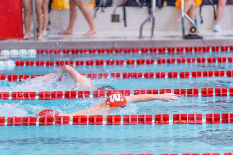 a group of people swimming in a pool