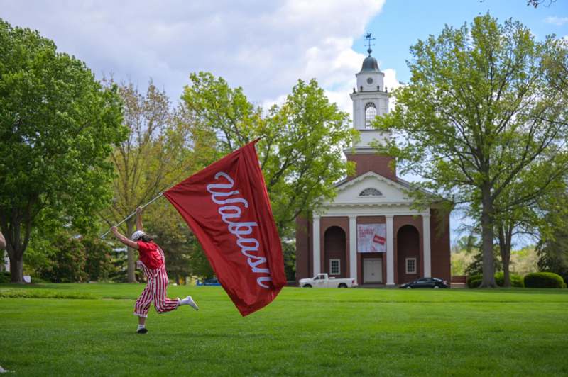 a person holding a flag in the grass